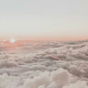 Meet your Posher, Micah